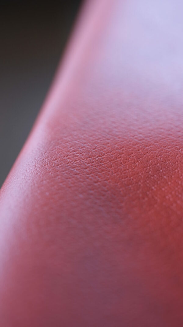 Pigskin rust red – Bild 3