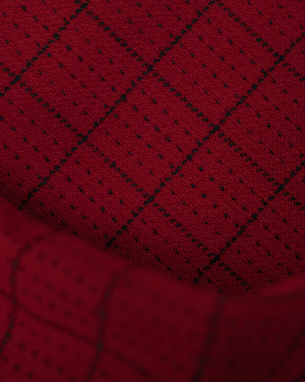 Red with black square stripes fabric.