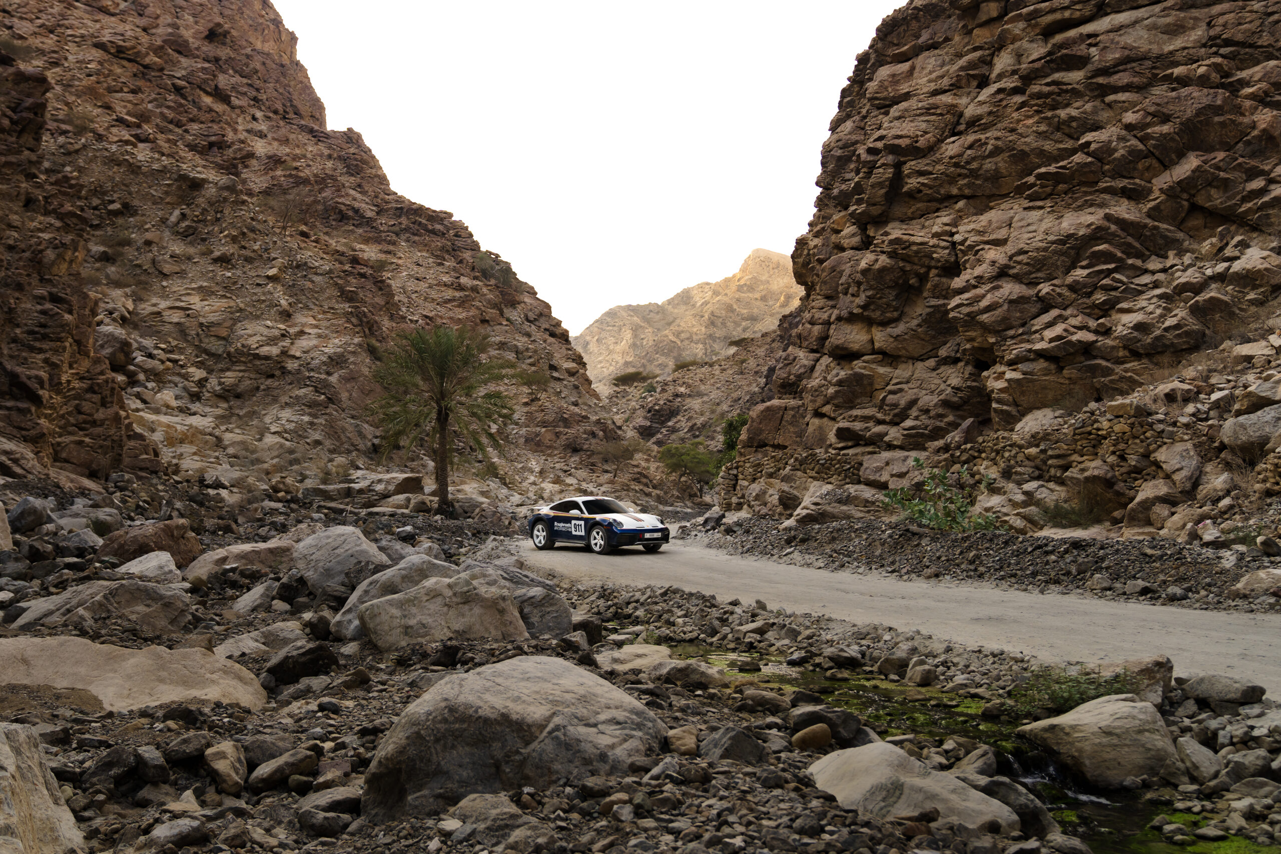 Car shooting - Image 14