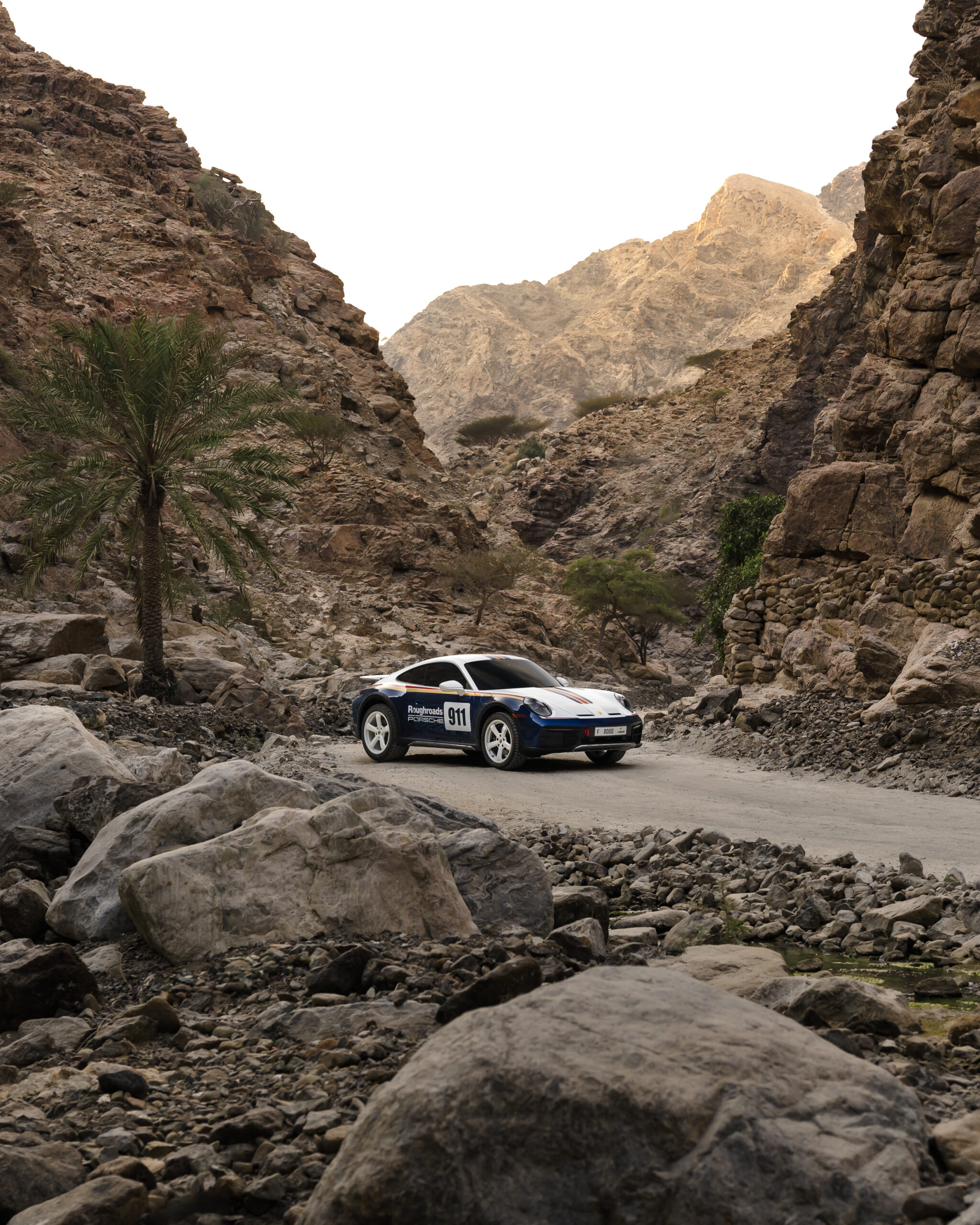 Car shooting - Image 13